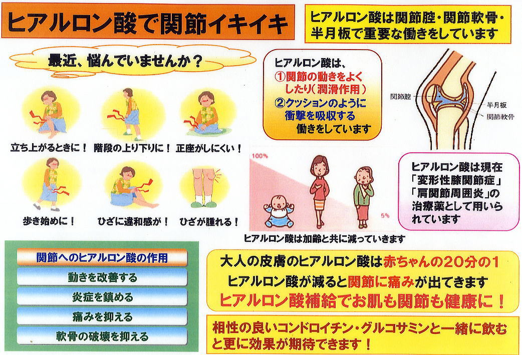 ヒアルロン酸で関節イキイキ