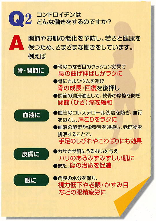 コンドロイチンＱ＆Ａ