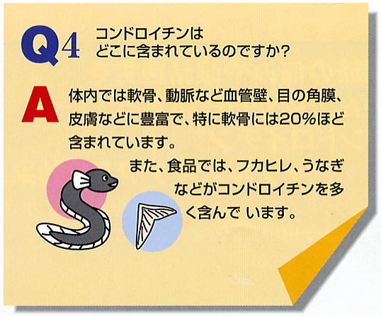 コンドロイチンＱ＆Ａ