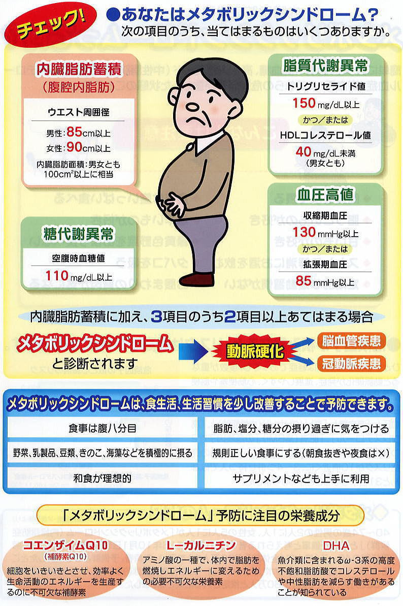 メタボリックシンドロームって何？